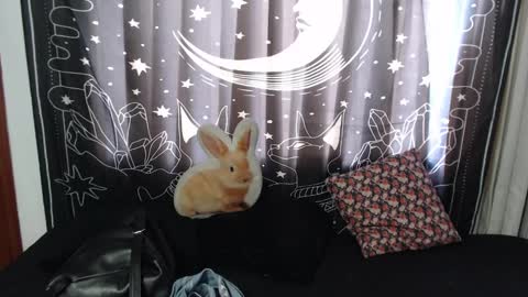    online show from 01-16-25, 07:31