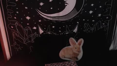    online show from 01-23-25, 12:14