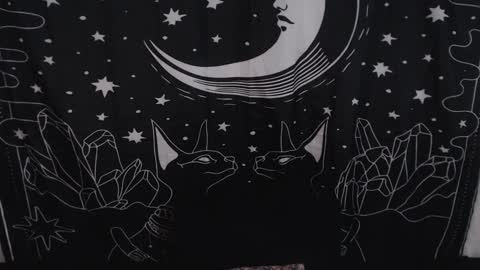    online show from 01-31-25, 11:24