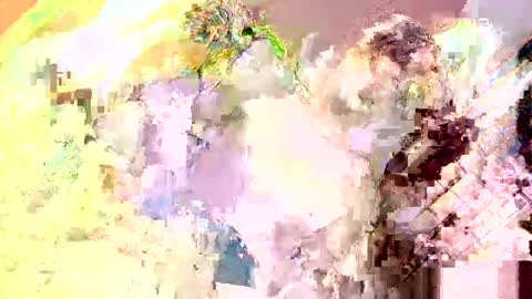 Nathaniel online show from 05-13-26, 04:04