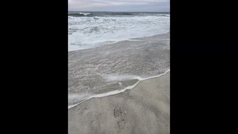 Jim online show from 03-02-25, 06:19