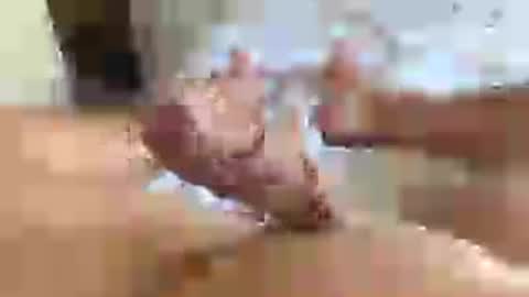 italianxsalami online show from 07-16-26, 03:07