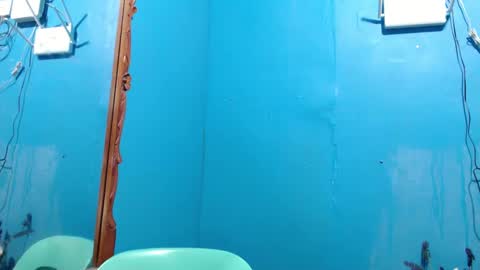 Snapshot of its_asiandave chatting on 01-01-25, 11:51 DAVE online show from 01-01-25, 11:51