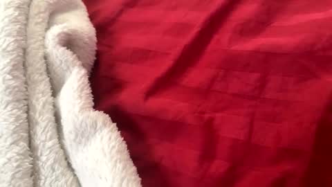 itsjayyourbae online show from 11-22-25, 02:05