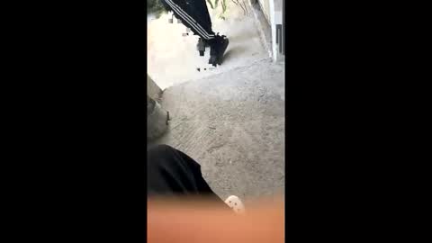 itsjayyourbae online show from 02-18-26, 11:11
