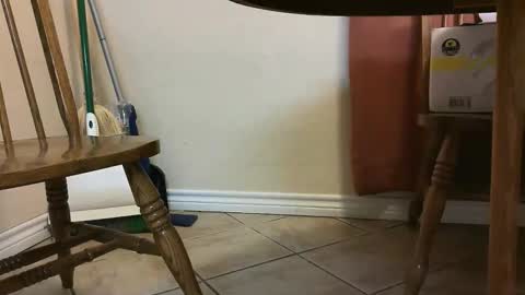 itsjustmehere online show from 05-03-26, 11:27