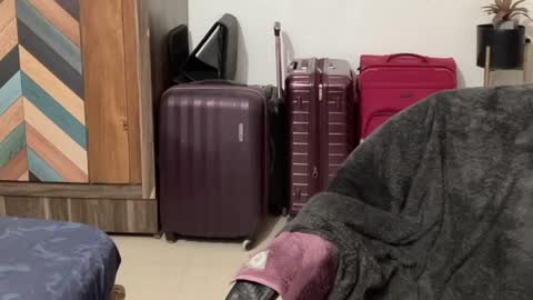 Raje online show from 10-04-25, 12:03