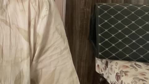 Raje online show from 11-26-25, 07:31