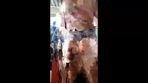 Snapshot of ivanaltrans62 chatting on 01-11-26, 04:50 ivanaltrans62 online show from 01-11-26, 04:50