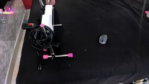 Ivis  online show from 04-13-26, 01:16