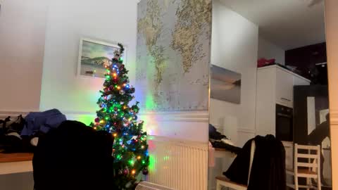 iwannabe online show from 12-20-24, 01:47