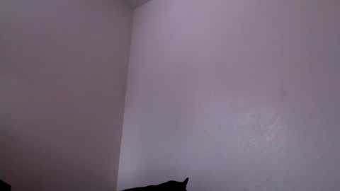 Mugen online show from 02-04-25, 06:27