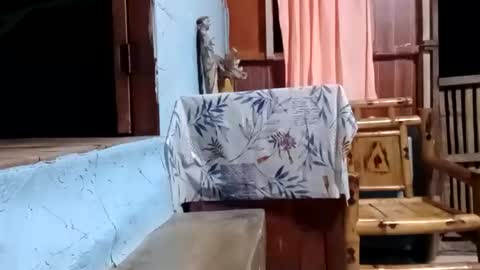 Snapshot of j828413 chatting on 10-27-25, 11:25 j828413 online show from 10-27-25, 11:25