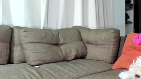 Calix  Independient model Insta and twt Calixsnake online show from 01-23-25, 05:35