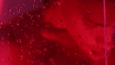 Snapshot of j_musiry chatting on 11-22-25, 12:04 i am juan musiry independent model online show from 11-22-25, 12:04