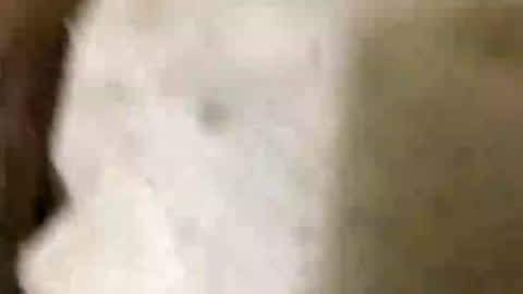 Snapshot of jaaltar chatting on 01-08-26, 07:05 Jaaltar online show from 01-08-26, 07:05