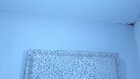 Jack White online show from 01-25-25, 04:02