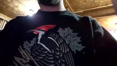 Dess online show from 01-05-25, 02:49