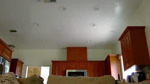 Snapshot of jacktome369 chatting on 11-11-25, 07:58 jacktome369 online show from 11-11-25, 07:58