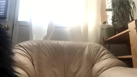 Jacob online show from 02-24-26, 03:43