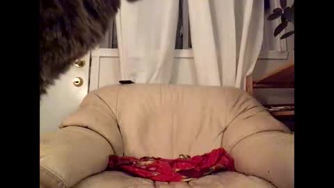 Jacob online show from 03-17-26, 12:37