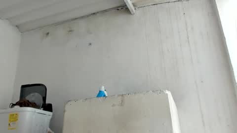 Snapshot of jadesmiith1 chatting on 10-24-25, 05:53 Jade Smith online show from 10-24-25, 05:53