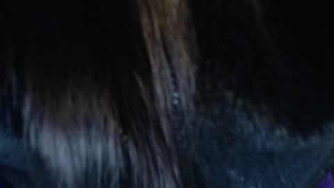 jalea_real_69 online show from 07-19-26, 06:50