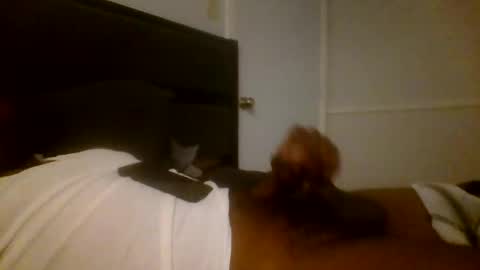 Jamacian online show from 12-16-24, 03:19