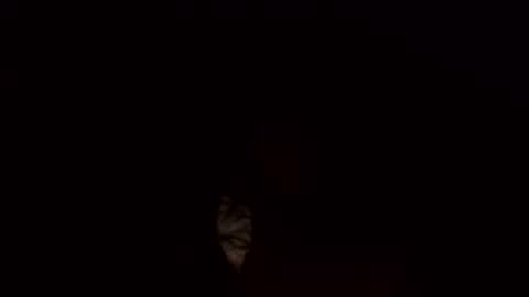 Jamacian online show from 03-03-25, 10:17