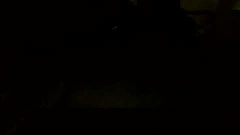 Jamacian online show from 10-07-25, 09:45