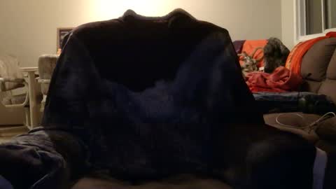 jameswolf777 online show from 11-12-25, 08:48