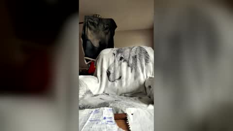 jameswolf777 online show from 05-30-26, 02:25
