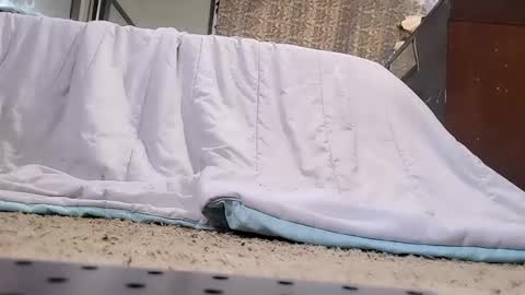 Bootyshows online show from 02-20-26, 03:45