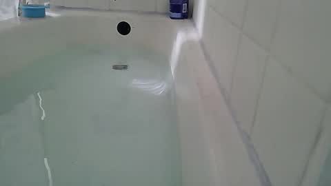 Bootyshows online show from 02-22-26, 02:48