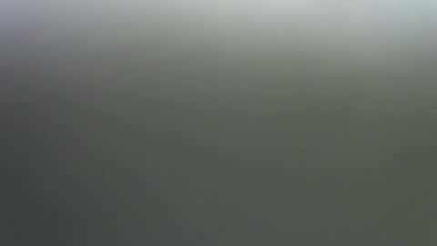 Jane online show from 11-14-25, 11:24