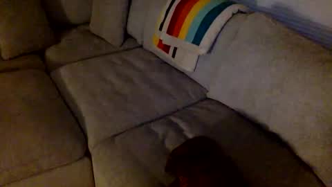janicepepper online show from 05-21-26, 08:54