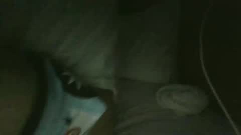 Snapshot of jarrettdainty559 chatting on 12-18-25, 08:31 jarrettdainty559 online show from 12-18-25, 08:31