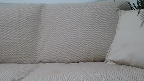 Snapshot of jasmin6501 chatting on 10-11-25, 07:12 Ella0105 online show from 10-11-25, 07:12