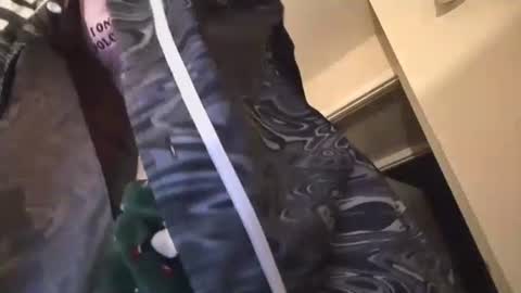 Snapshot of jasper1thewhor3 chatting on 10-25-25, 05:04 jasper1thewhor3 online show from 10-25-25, 05:04