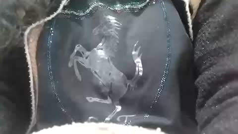 jasspreettt online show from 02-02-25, 06:58