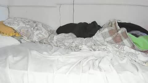 Snapshot of javierandaniel chatting on 05-18-26, 03:51 Javier online show from 05-18-26, 03:51