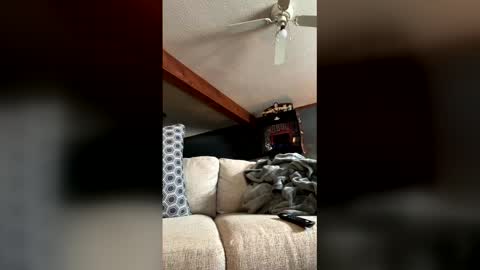 Snapshot of jawssharkparty chatting on 01-05-26, 07:50 Jaws online show from 01-05-26, 07:50