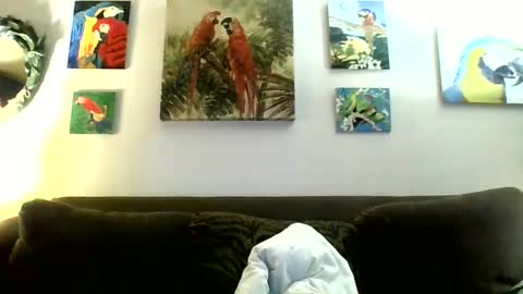 jay-jay1475 online show from 01-12-25, 07:31