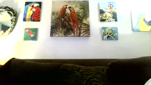 jay-jay1475 online show from 01-16-25, 08:46