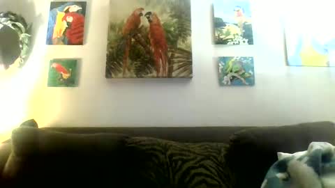 jay-jay1475 online show from 01-20-25, 10:48