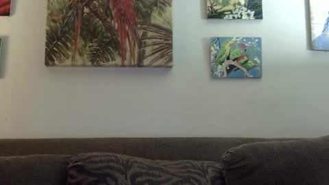 jay-jay1475 online show from 01-21-25, 09:25