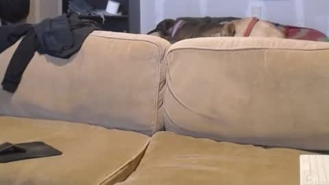 O F   jay short786 online show from 02-17-25, 07:53