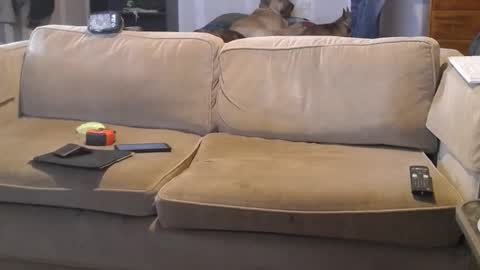 O F   jay short786 online show from 03-01-25, 07:04