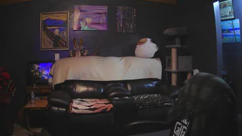 Grand Zaddy or Jay its casual online show from 03-15-26, 05:13