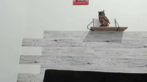 Jaycreedd online show from 09-26-25, 02:37